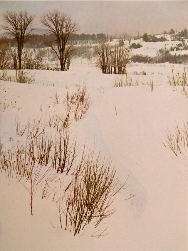 Snowscape by Eliot Porter (1969)